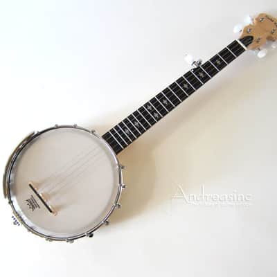 Gold Tone 5-String Mini Open Back Banjo w/ Gig Bag image 1