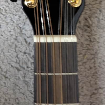 Luna Vista Eagle 12 String  Tropical Wood Acoustic Electric Guitar w/Hard Case image 5