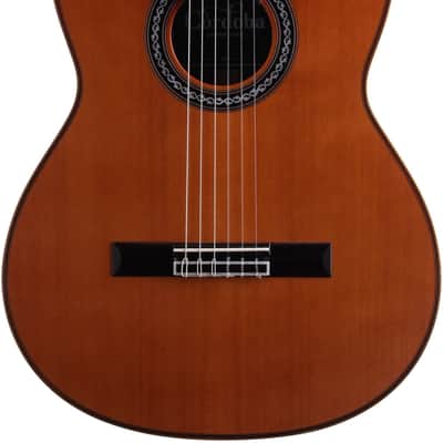 Cordoba C12 CD Classical Acoustic Guitar, with Case, Open Box (Very Good) image 3