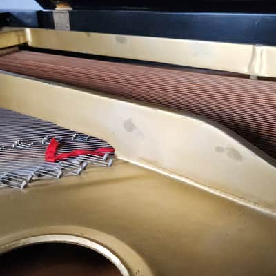 Yamaha C3 Ebony 6'1" Grand Piano and Bench * Made in Japan in 1977* Free 1st floor NJ delivery! image 6
