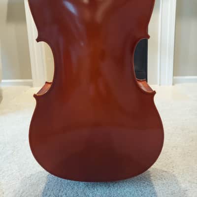 Eastman VC80 2022 - High'gloss Varnish image 7