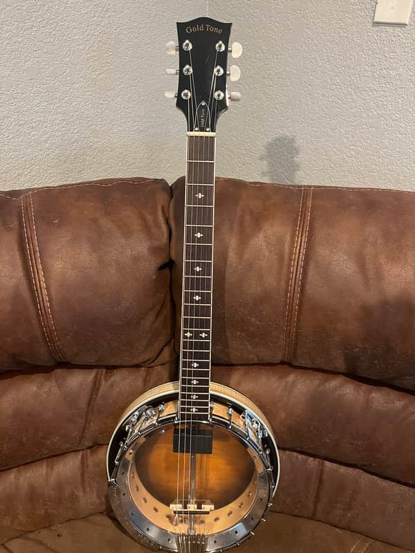 Gold Tone GT-750 Banjitar