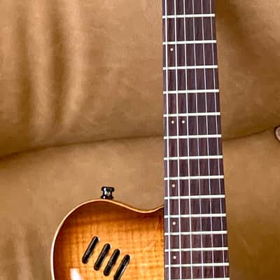 Godin LGX-S Light Burst 1999 image 4
