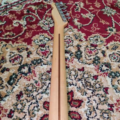 2007 Fender Japan TN-72 Thinline Telecaster Natural Reissue CIJ image 23