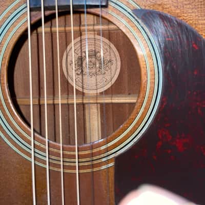 Vintage Vega V-244 Acoustic Mid-70's image 2
