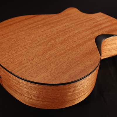 2025 NEW NECK Furch Blue Deluxe Gc-CM a Western Red Cedar / African Mahogany with Case CNR SYSTEM ACTIVE 580 image 7