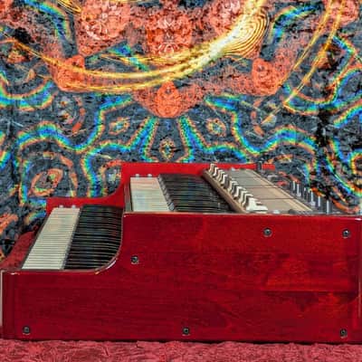 Nord C2D Dual 61-Key Manual Combo Organ 2012 - 2019 - Black with Wood Sides image 10