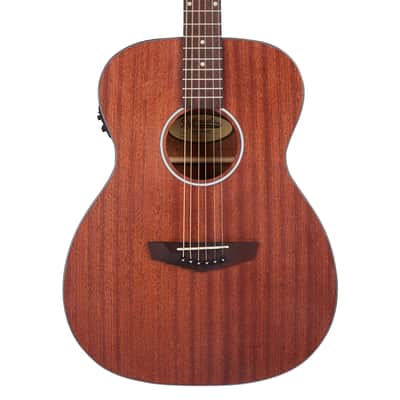 D'Angelico Premier Tammany LS