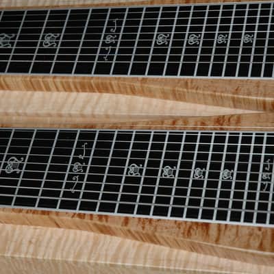 Jackson Steel Guitar Shot Jackson Commemorative image 7