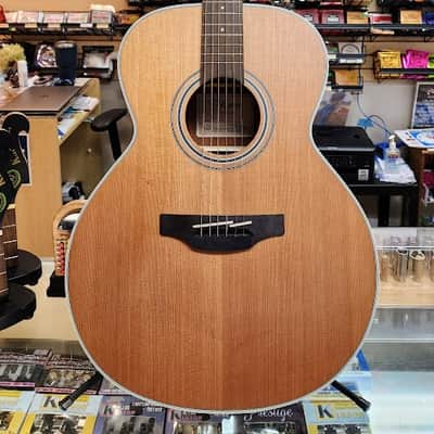 Takamine GN20 NS G20 Series NEX Acoustic Guitar 2010s - Natural Satin image 1