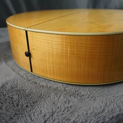 Taylor 655 12-String Acoustic Guitar 1988 image 18
