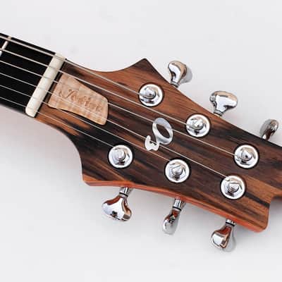 Alejandro Ramirez o3 Iodine Semi-Hollow image 4