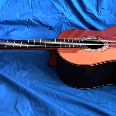 Juan Estruch 1981 Model 1 "Chet Atkins" Signed Yellow Label, Concert Classical Guitar image 2