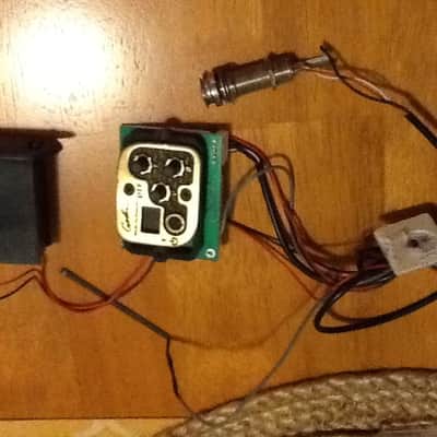 Godin QT1 Seagull acoustic preamp and pickup wiring assembly. image 1