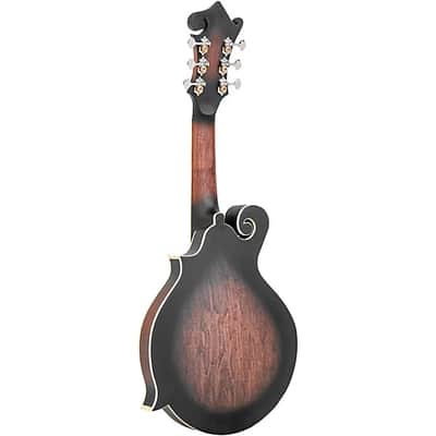 Gold Tone F-6 F-style 6-String Acoustic-Electric Mando-Guitar - Vintage Sunburst image 10