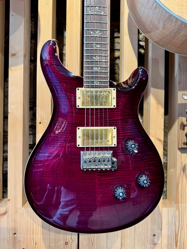 PRS 25th Anniversary Custom 24 10-Top 2010 - Angry Larry image 1