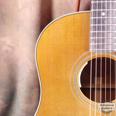 Gibson 2025 Murphy Lab R HATA MOTOHIRO J-45 image 14