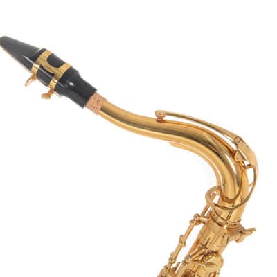 Roy Benson TS-202 Tenorsaxophon image 2