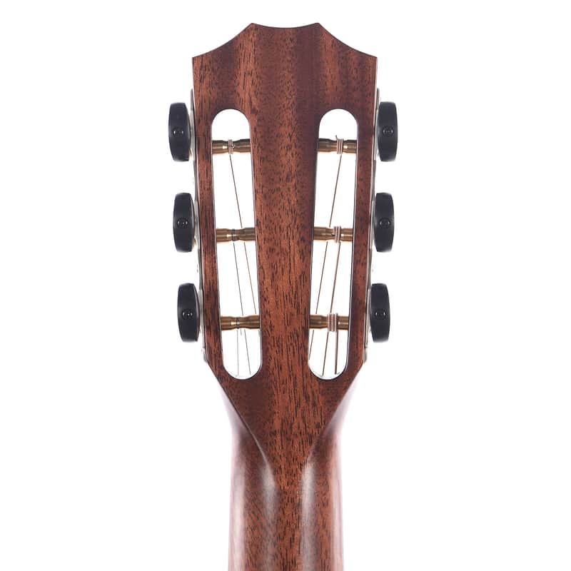 Taylor 322e 12-Fret with V-Class Bracing image 7