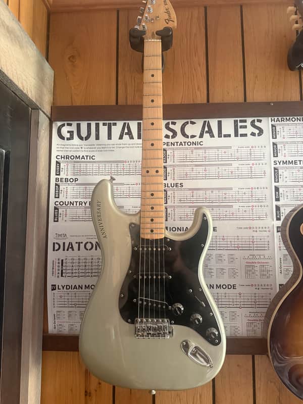 Fender 25th Anniversary Stratocaster (1979 - 1980) | Reverb