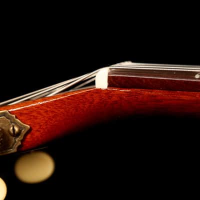 B&G Guitars Little Sister Crossroads Cutaway Tobacco Burst image 14
