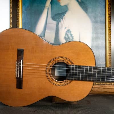 2016 Kris Barnett, Cedar Ziricote, Hybrid Fan Lattice Braced, Elevated Fingerboard , Soundport image 1