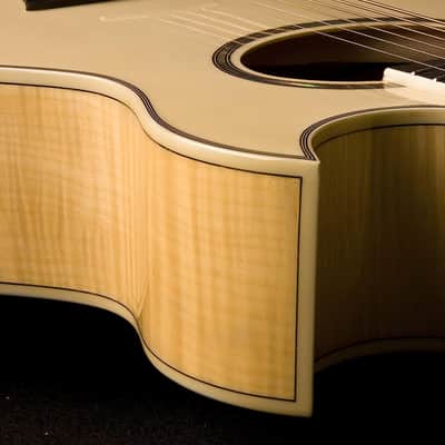 Washburn Flame Maple Mini Jumbo Acoustic-Electric Guitar image 5