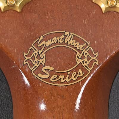 Gibson Les Paul SmartWood Exotic 2002 - Natural image 15