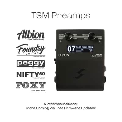 HOT Two Notes OPUS Amp Sim / Cab Simulator DynIR Engine Pedal Acoustic DI image 2