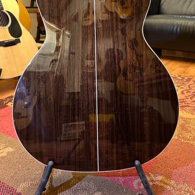 Eastman AC522CE  Natural image 8