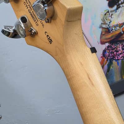2024 PRS SE Swamp Ash Special - Iri Blue image 12
