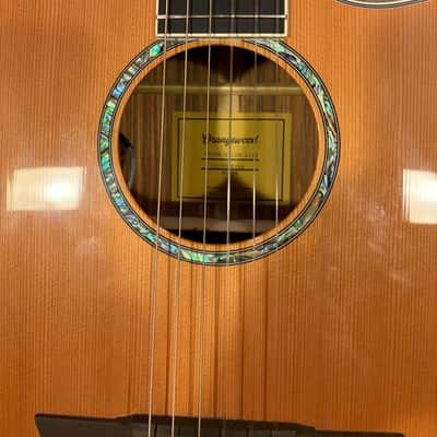 Orangewood Mason-Live 2021 - Laquer image 3