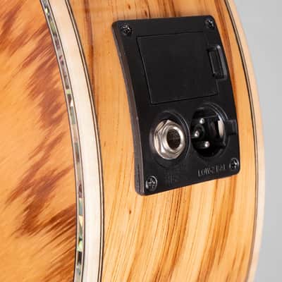 Lindo Earth V2 Slim Body Electro Acoustic Guitar and Premium Hardcase image 7
