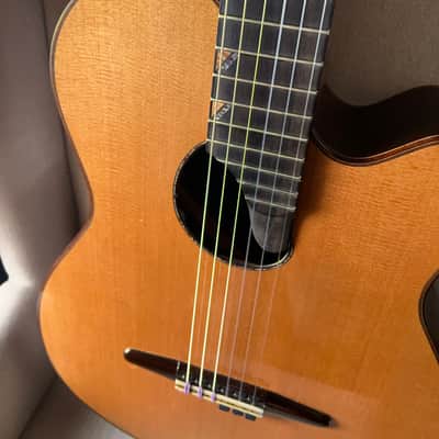 Paul McGill Super Ace Nylon Classical Cutaway Brazilian Rosewood BAM Case image 1