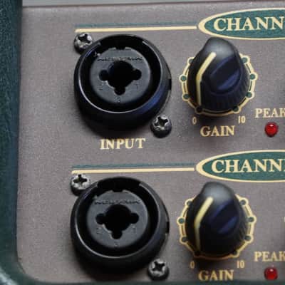 Crate Gunnison Acoustic Amp – Mid-2000s, Warm Tone, 2-Channel – Free Shipping Canada image 7