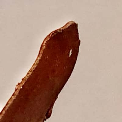 Vintage 1966 Fender Guitar Part Authentic Neck Shim image 6