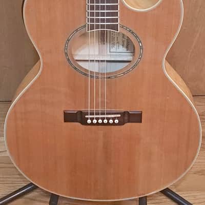 Washburn Festival Series EA20SDL with Chorus Cutaway image 2