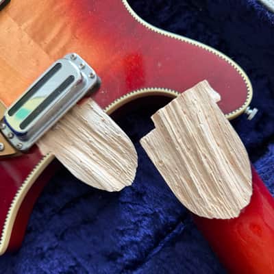 Rickenbacker 660/12TP Tom Petty Signature 1991 - 1997 - Fireglo image 2