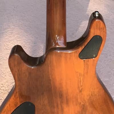 Washburn USA Custom Shop WM 100 image 9