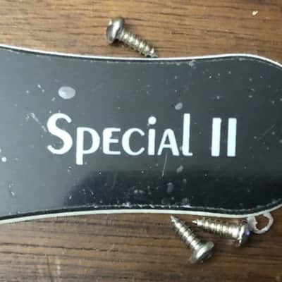 2021 Epiphone Les Paul Special II Electric Guitar Truss Rod Cover With Screws image 1