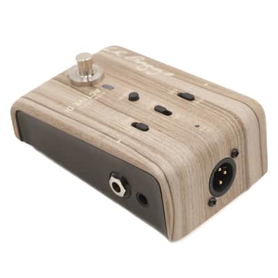 L.R. Baggs Align Series Active DI Owned by Seal image 3