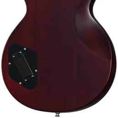 Epiphone Les Paul Prophecy 2024 - Present - Aged Bengal Tiger Burst image 3