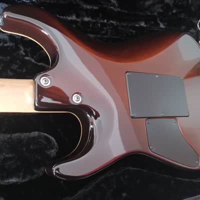 Tom Anderson Drop Top Tiger Eye Burst 2010 image 8