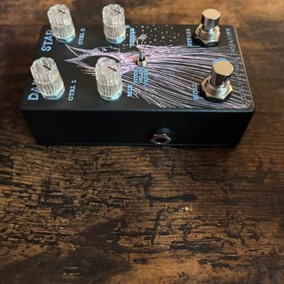 Old Blood Noise Endeavors Dark Star Pad Reverb V2 Limited Edition Relic Music Autumn Black Guitar Pedal image 5