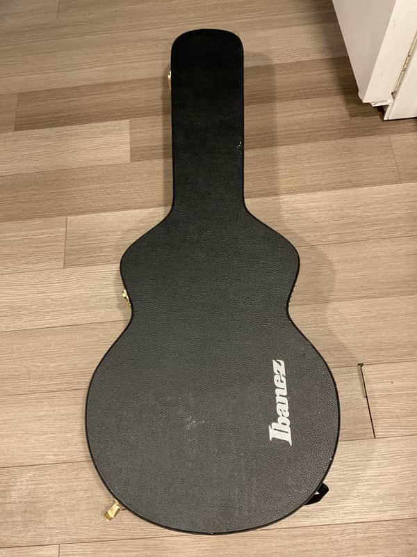 Ibanez AEG10C Hardshell Case for AEG Guitars 2010s - Black image 1