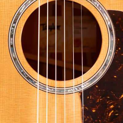 Taylor 512ce Grand Concert Acoustic/Electric Guitar with Hardshell Case image 17