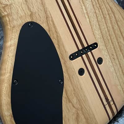 Mayones Regius 6 MM 2015 Misha Mansoor Sig | Reverb Czechia