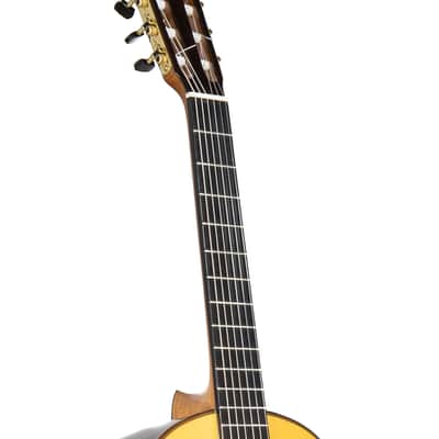 Esteve  Manuel Adalid  -Professional Flamenco Negra/All Solid wood/Spruce/Indian Rosewood  b/s - 2025 image 18