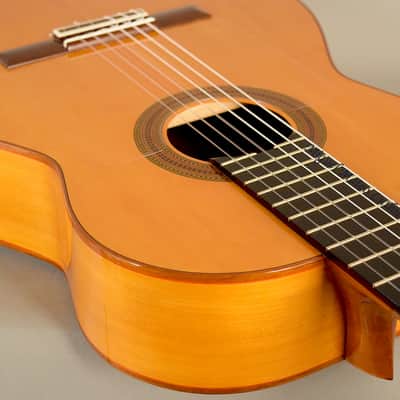 Pegs Flamenco Guitar Cypress and Spruce image 15