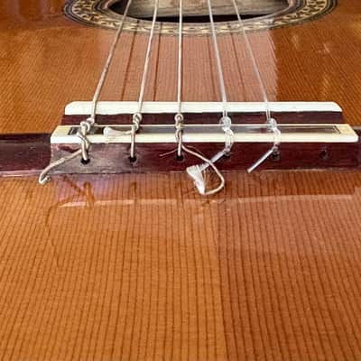 1970’s-1980’s Dauphin Model 12 Classical Guitar Made in Japan image 9